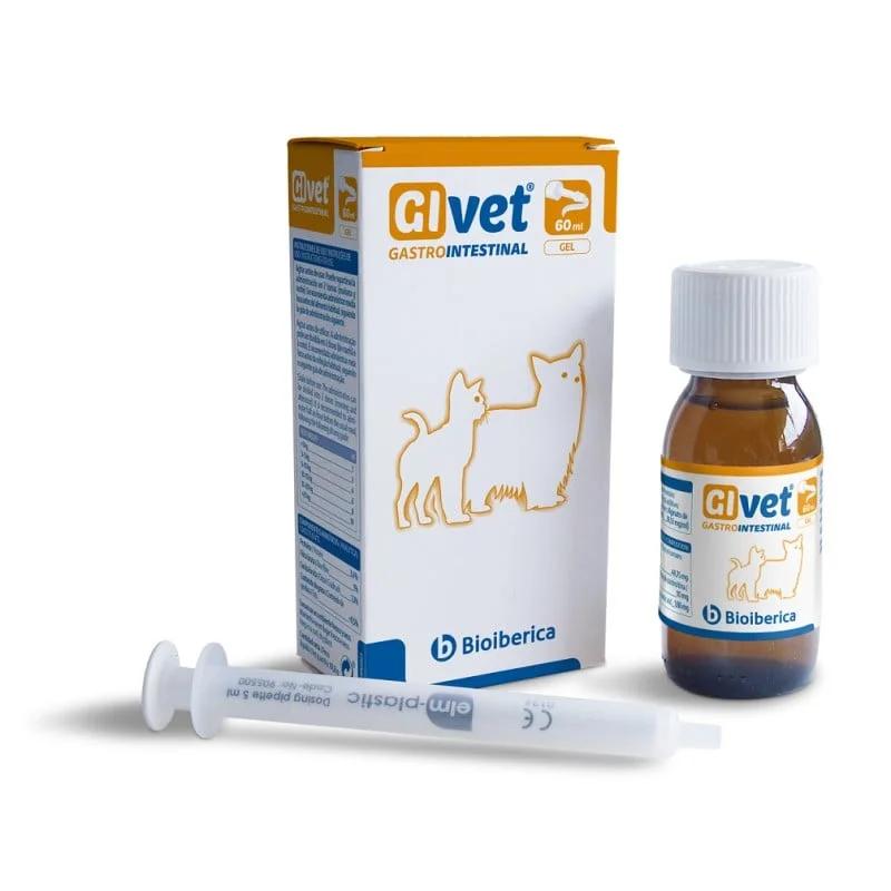 GIVET GEL 60 ML
